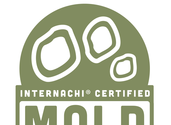 Mold Inspection